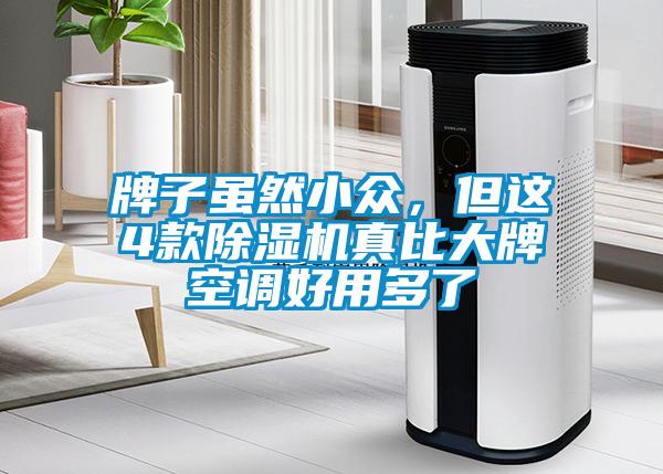 牌子雖然小眾，但這4款除濕機真比大牌空調好用多了