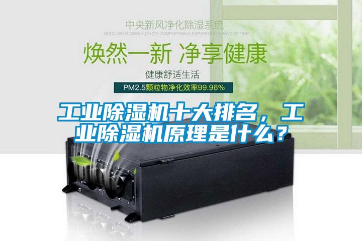 工業除濕機十大排名，工業除濕機原理是什么？