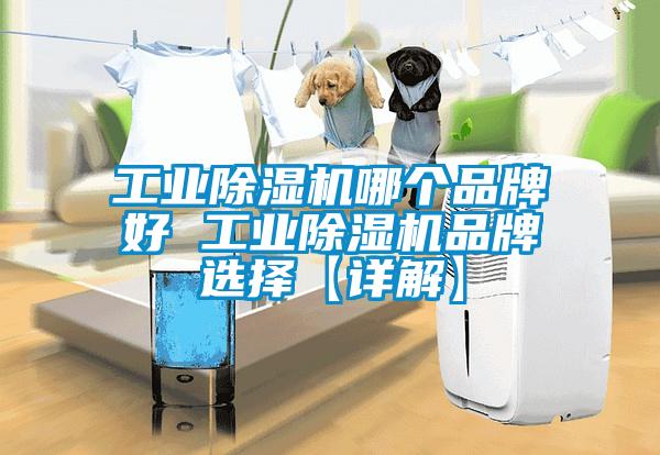 工業(yè)除濕機(jī)哪個品牌好 工業(yè)除濕機(jī)品牌選擇【詳解】