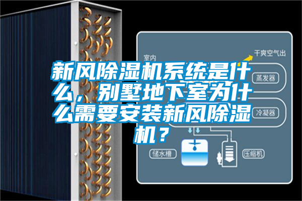 新風除濕機系統是什么，別墅地下室為什么需要安裝新風除濕機？