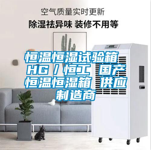 恒溫恒濕試驗(yàn)箱 HG/恒工 國產(chǎn)恒溫恒濕箱 供應(yīng)制造商