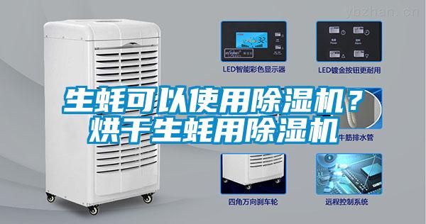 生蠔可以使用除濕機？烘干生蠔用除濕機