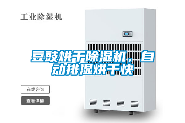 豆豉烘干除濕機(jī)，自動(dòng)排濕烘干快