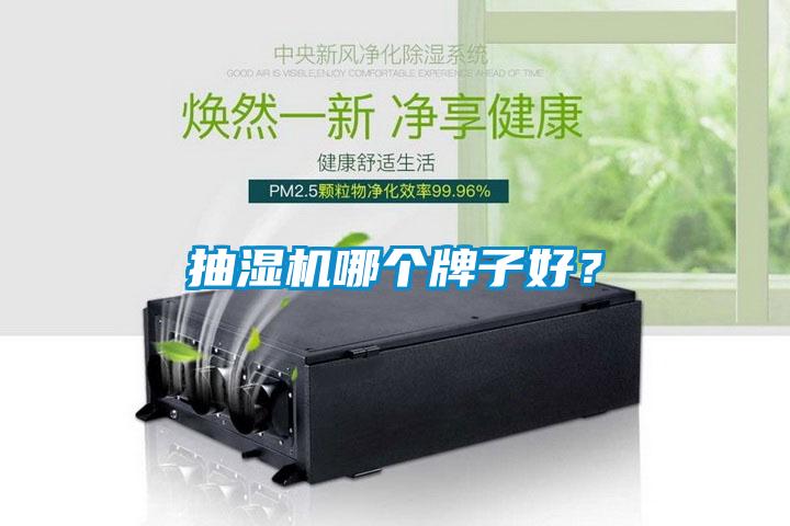 抽濕機(jī)哪個(gè)牌子好？