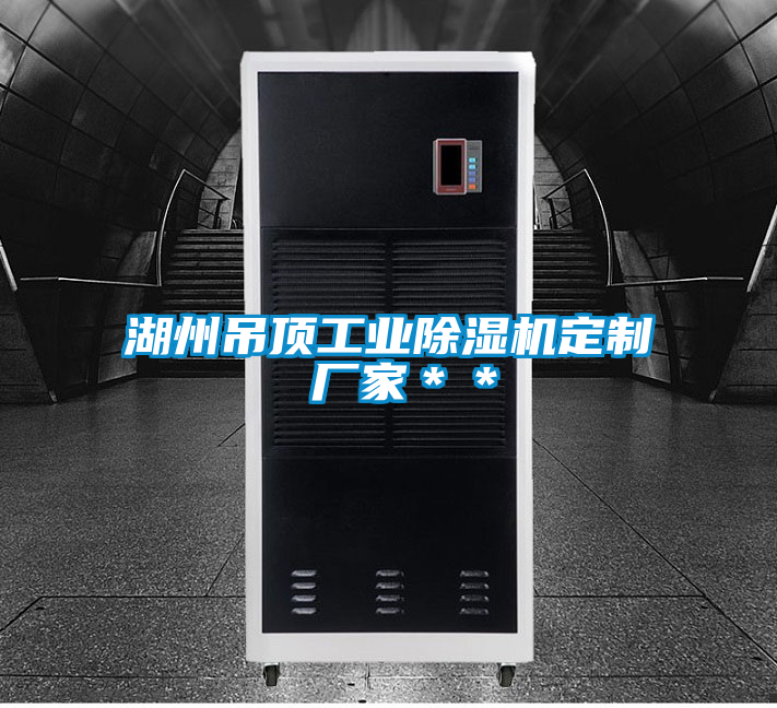 湖州吊頂工業(yè)除濕機定制 廠家＊＊