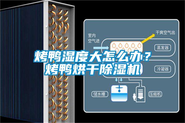 烤鴨濕度大怎么辦？烤鴨烘干除濕機(jī)