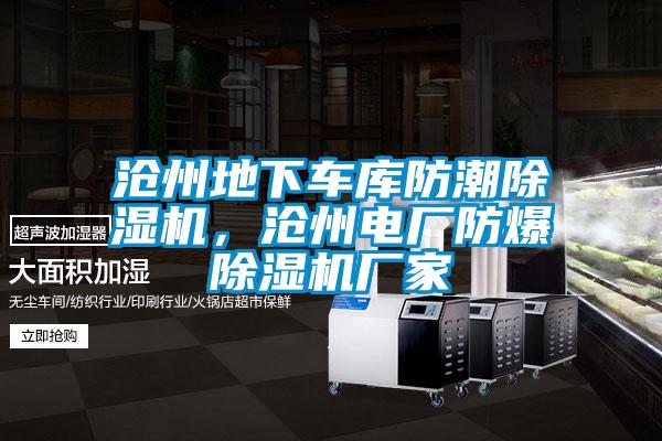 滄州地下車庫防潮除濕機,滄州電廠防爆除濕機廠家