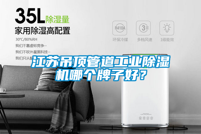 江蘇吊頂管道工業(yè)除濕機哪個牌子好？