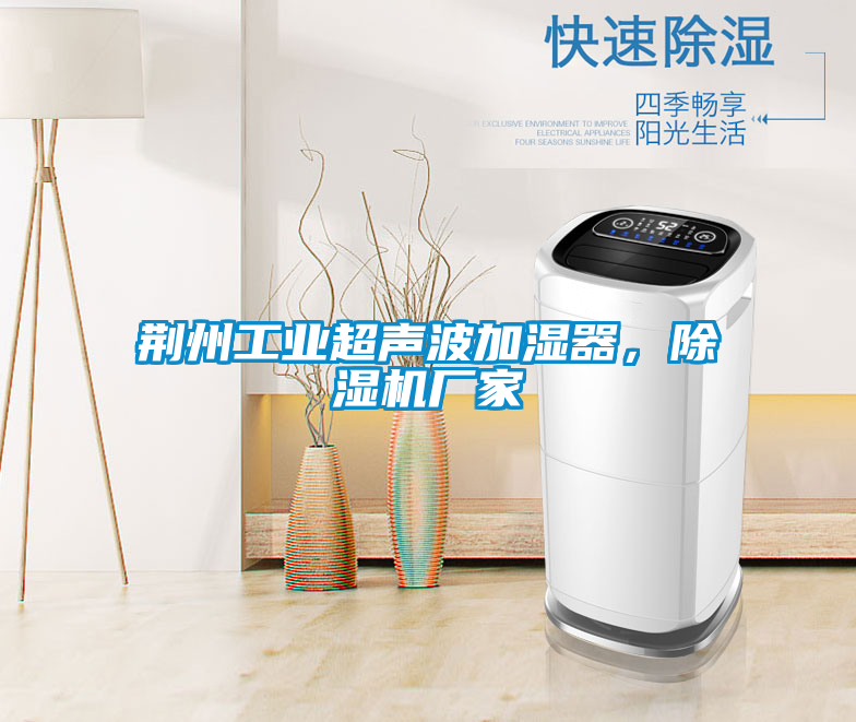 荊州工業(yè)超聲波加濕器，除濕機廠家