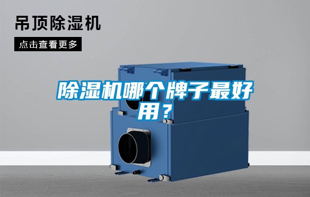 除濕機哪個牌子最好用？