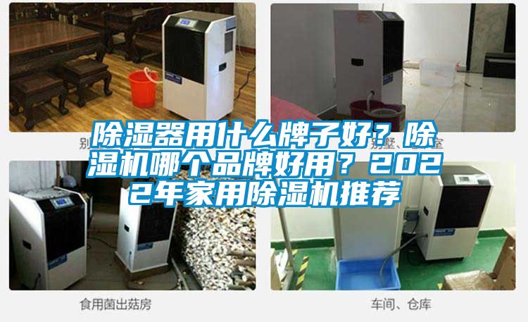 除濕器用什么牌子好？除濕機哪個品牌好用？2022年家用除濕機推薦
