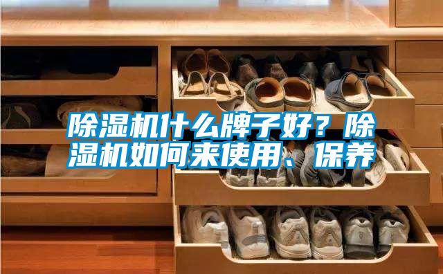 除濕機什么牌子好？除濕機如何來使用、保養(yǎng)