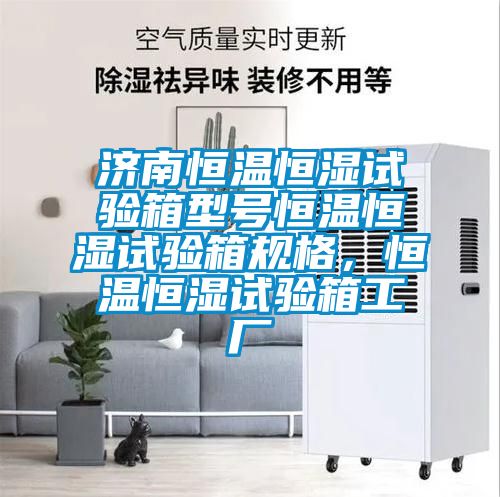 濟南恒溫恒濕試驗箱型號恒溫恒濕試驗箱規(guī)格，恒溫恒濕試驗箱工廠