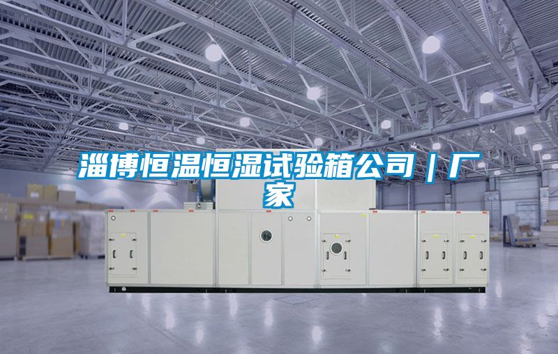 淄博恒溫恒濕試驗箱公司|廠家