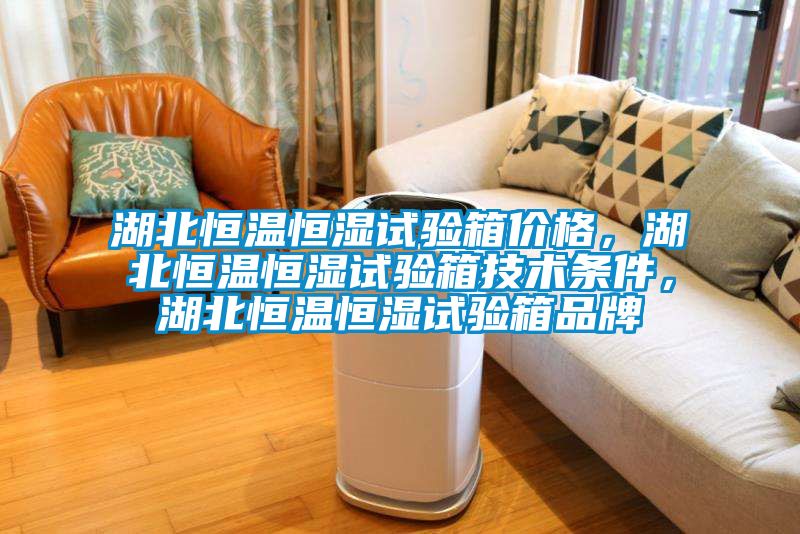 湖北恒溫恒濕試驗箱價格，湖北恒溫恒濕試驗箱技術條件，湖北恒溫恒濕試驗箱品牌