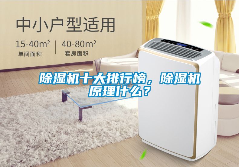 除濕機十大排行榜，除濕機原理什么？