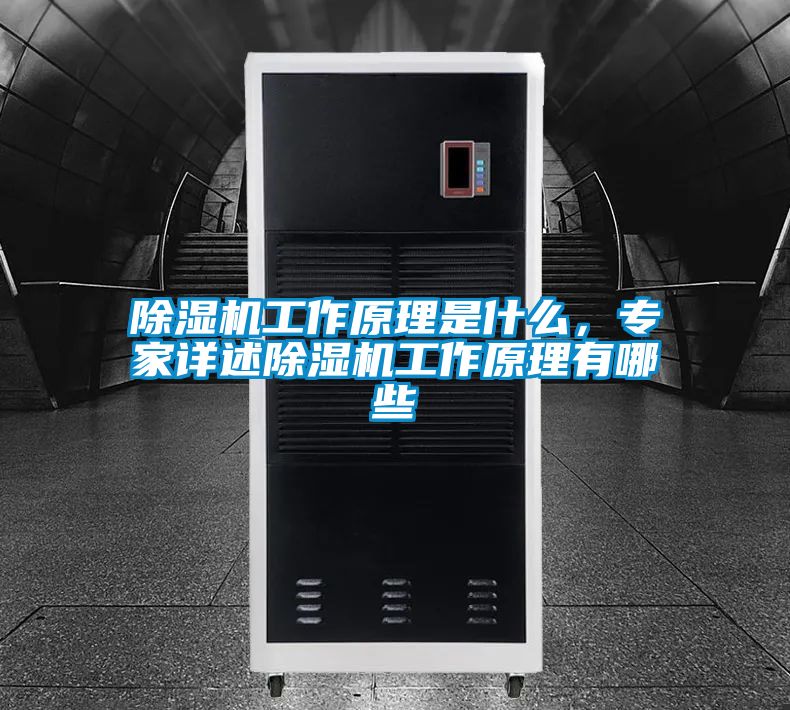 除濕機工作原理是什么，專家詳述除濕機工作原理有哪些