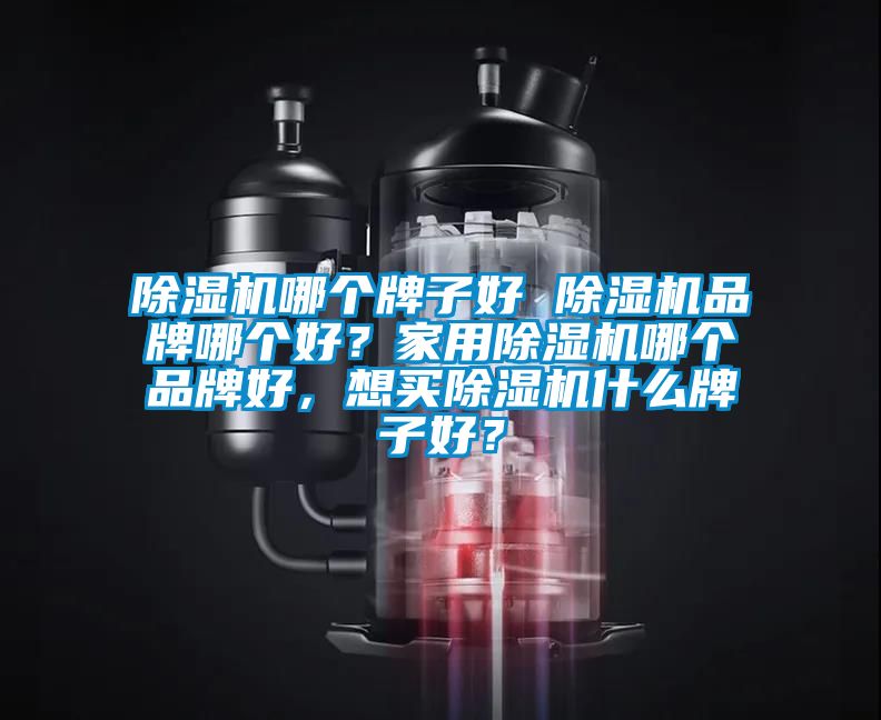 除濕機(jī)哪個牌子好 除濕機(jī)品牌哪個好？家用除濕機(jī)哪個品牌好，想買除濕機(jī)什么牌子好？