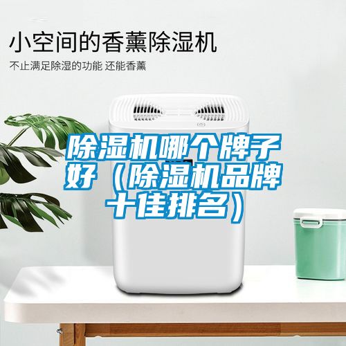 除濕機(jī)哪個牌子好（除濕機(jī)品牌十佳排名）