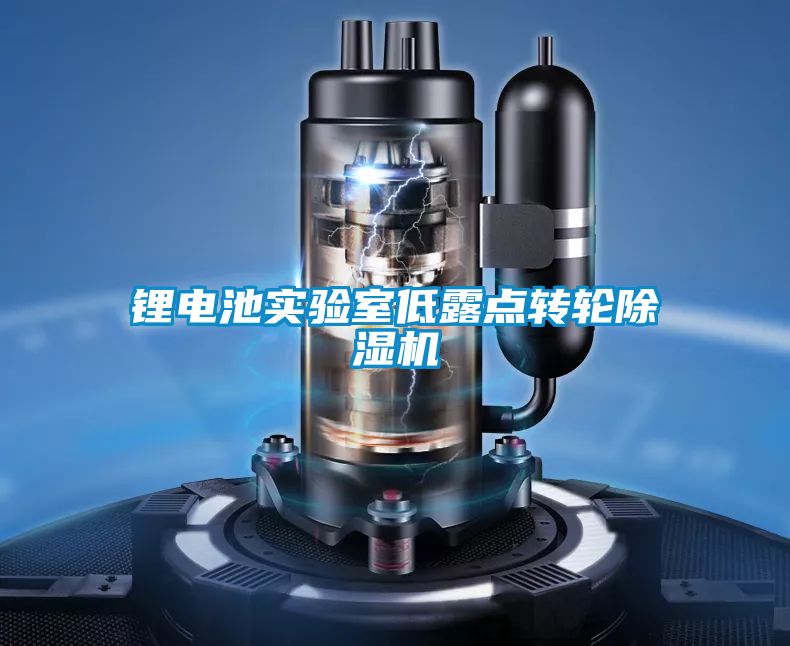 鋰電池實驗室低露點轉(zhuǎn)輪除濕機