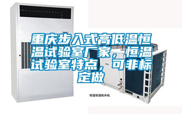 重慶步入式高低溫恒溫試驗室廠家，恒溫試驗室特點，可非標定做