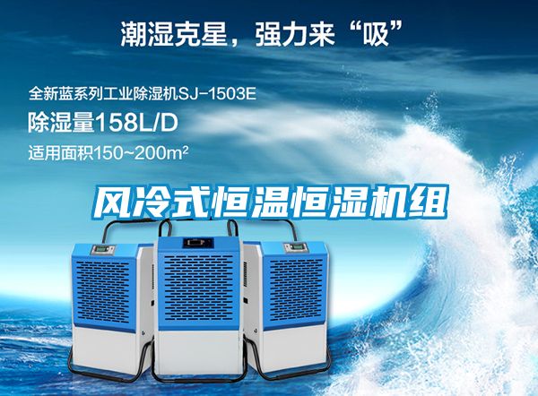 風(fēng)冷式恒溫恒濕機組