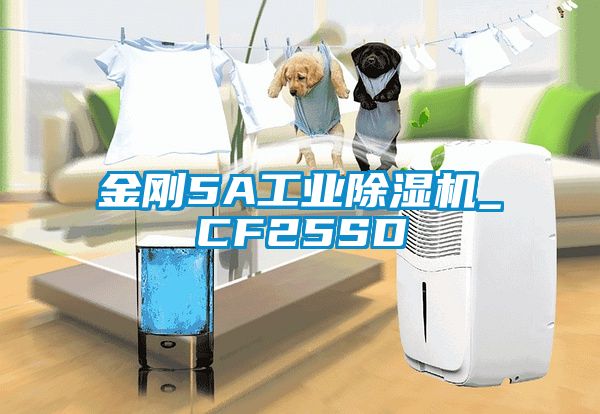 金剛5A工業(yè)除濕機(jī)_CF25SD