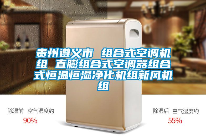 貴州遵義市 組合式空調機組 直膨組合式空調器組合式恒溫恒濕凈化機組新風機組