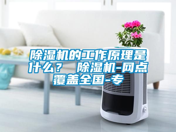 除濕機的工作原理是什么？ 除濕機-網點覆蓋全國-專