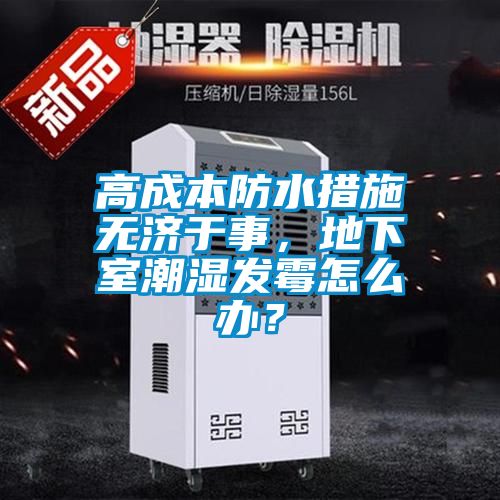 高成本防水措施無(wú)濟(jì)于事，地下室潮濕發(fā)霉怎么辦？