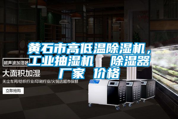 黃石市高低溫除濕機(jī)，工業(yè)抽濕機(jī)  除濕器廠家 價(jià)格