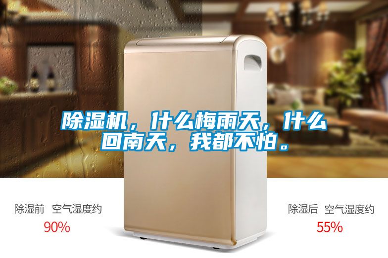 除濕機(jī)，什么梅雨天，什么回南天，我都不怕。
