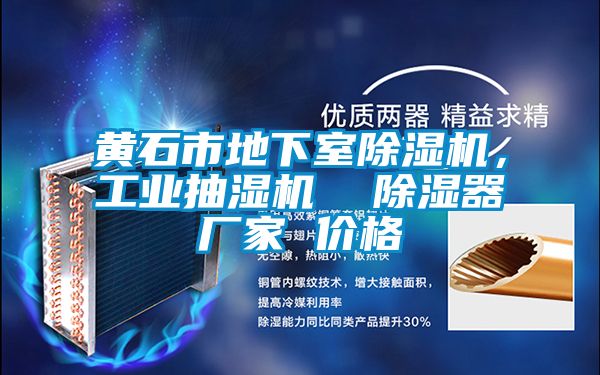 黃石市地下室除濕機，工業抽濕機  除濕器廠家 價格