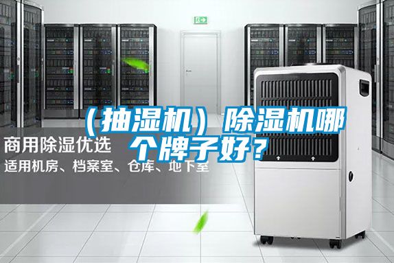 （抽濕機(jī)）除濕機(jī)哪個牌子好？